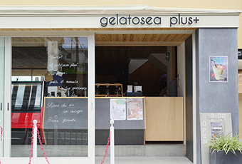 gelatosea plus+